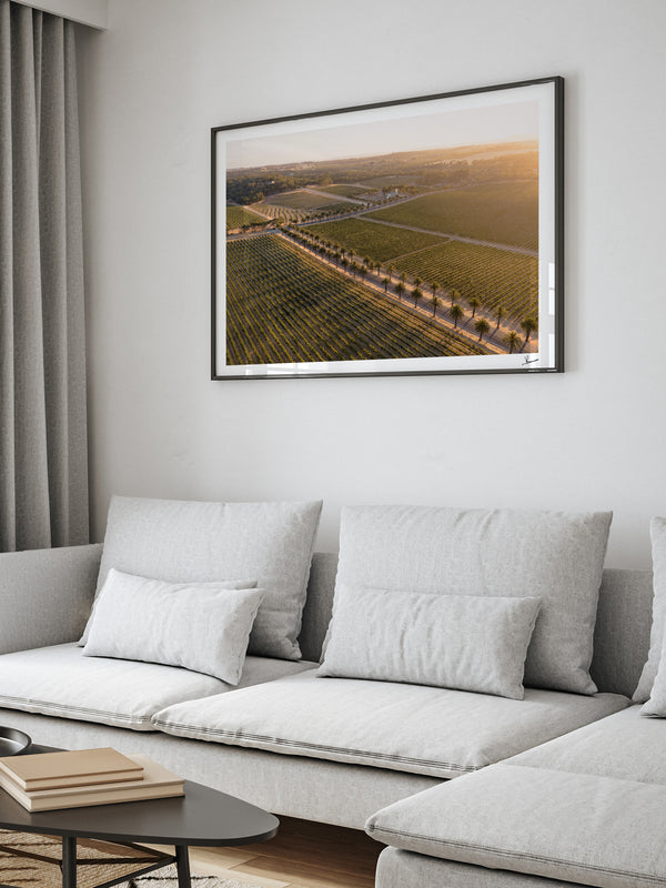 Barossa Valley Sunrise 02 – South Australia Wall Art Print