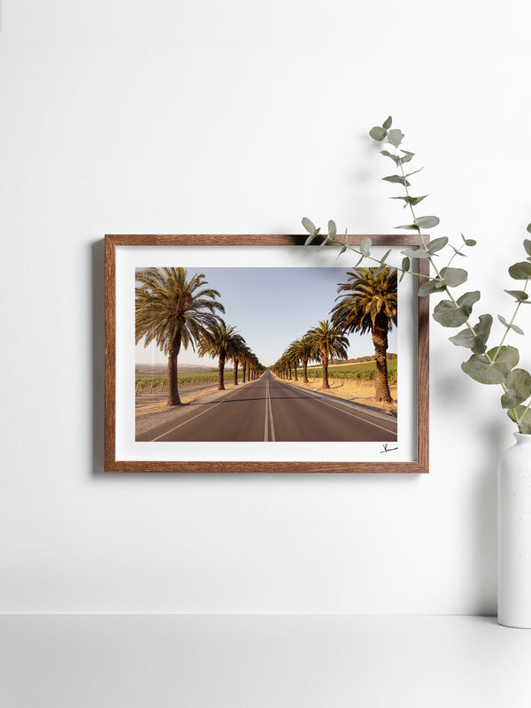 Seppeltsfield Road 01 – Barossa Valley Wall Art Print