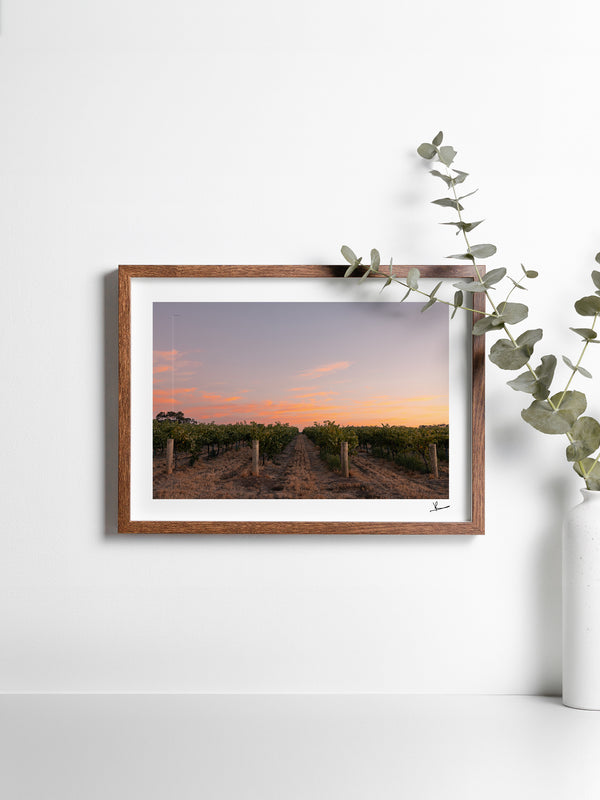 Barossa Valley First Light – South Australia Wall Art Print