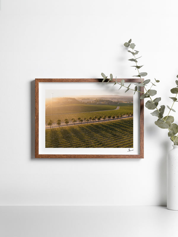 Barossa Valley Sunrise 03 – South Australia Wall Art Print