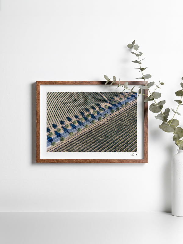 Seppeltsfield Road 03 – Barossa Valley Wall Art Print