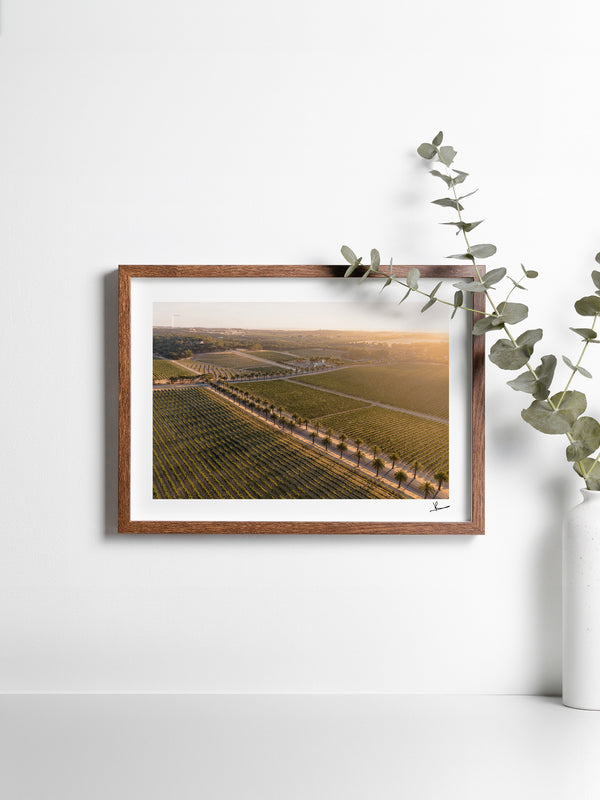 Barossa Valley Sunrise 02 – South Australia Wall Art Print