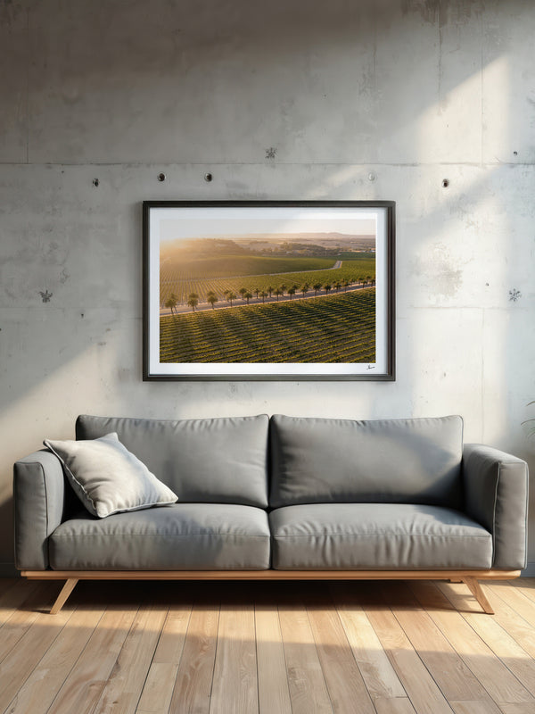 Barossa Valley Sunrise 03 – South Australia Wall Art Print