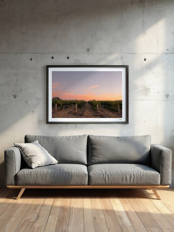 Barossa Valley First Light – South Australia Wall Art Print
