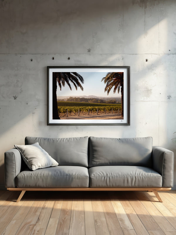 Barossa Vineyard 01 – South Australia Wall Art Print