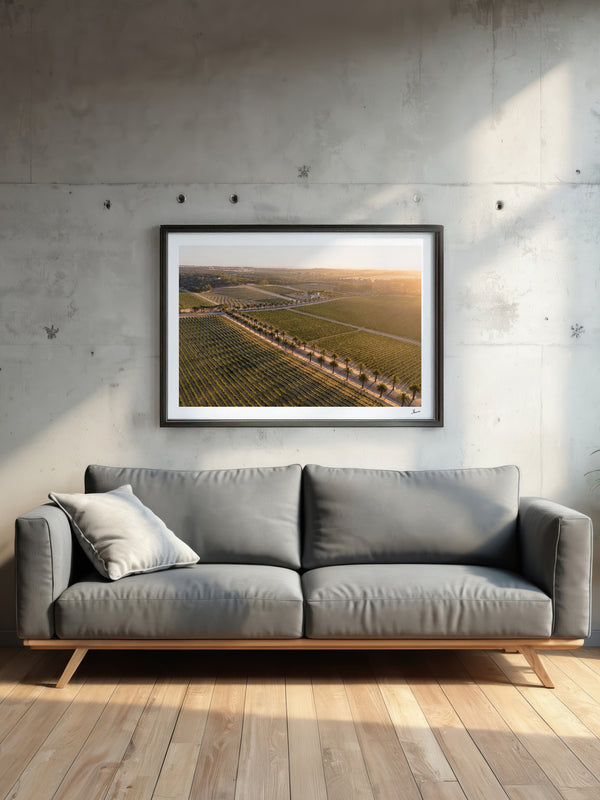 Barossa Valley Sunrise 02 – South Australia Wall Art Print