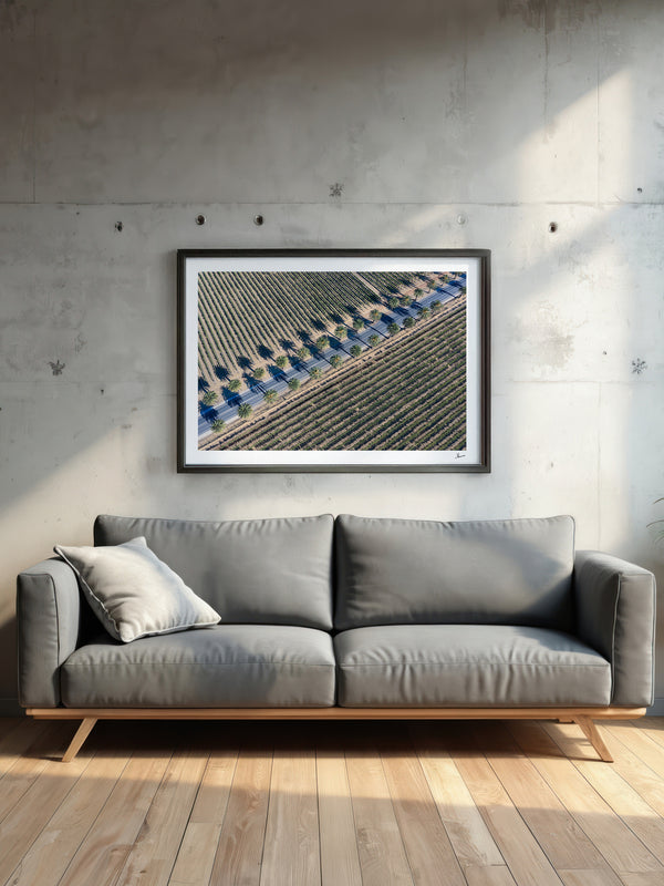 Seppeltsfield Road 03 – Barossa Valley Wall Art Print