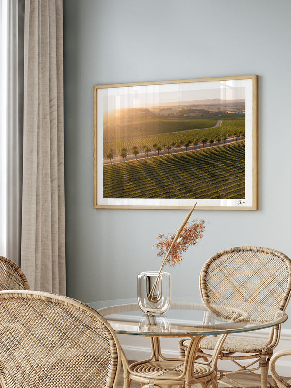 Barossa Valley Sunrise 03 – South Australia Wall Art Print
