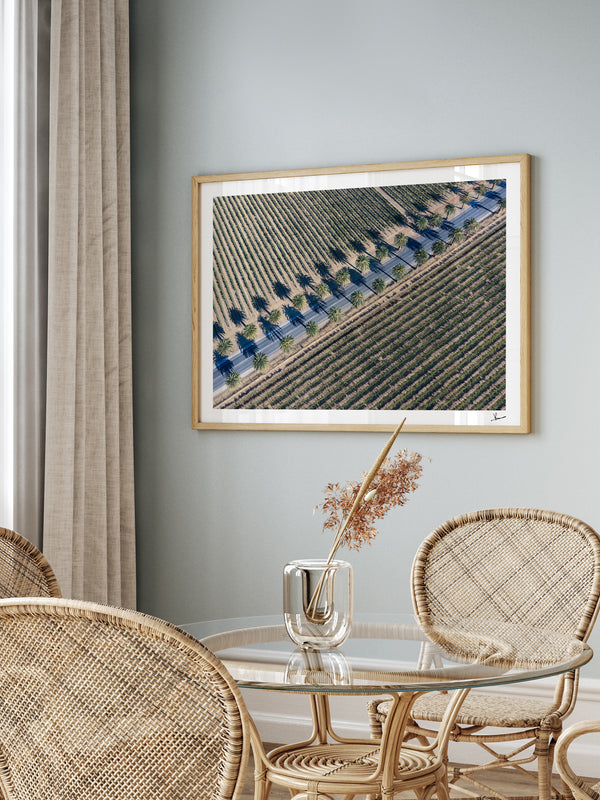 Seppeltsfield Road 03 – Barossa Valley Wall Art Print