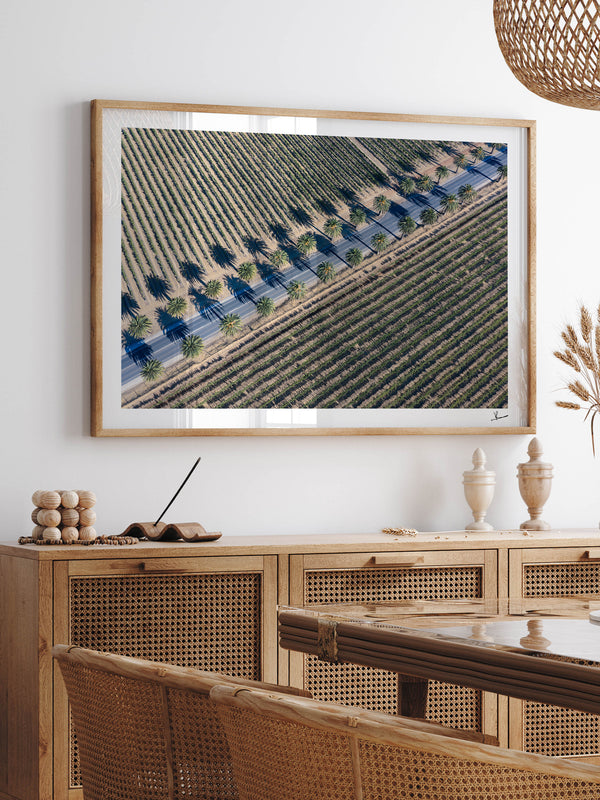 Seppeltsfield Road 03 – Barossa Valley Wall Art Print