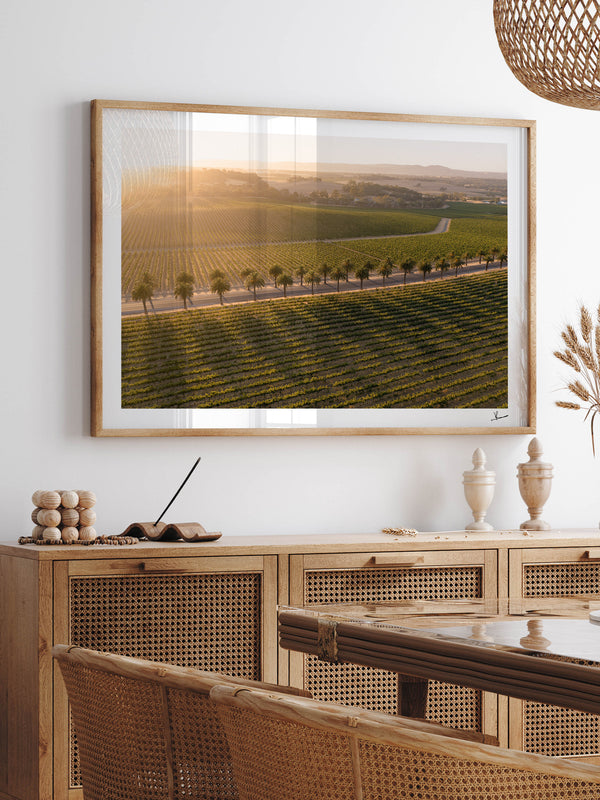 Barossa Valley Sunrise 03 – South Australia Wall Art Print