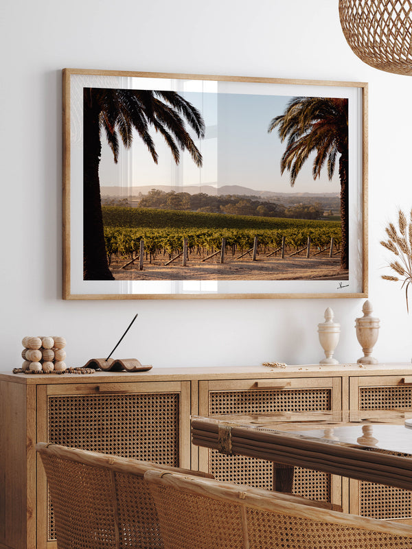 Barossa Vineyard 01 – South Australia Wall Art Print