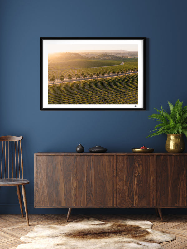 Barossa Valley Sunrise 03 – South Australia Wall Art Print