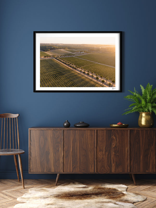 Barossa Valley Sunrise 02 – South Australia Wall Art Print
