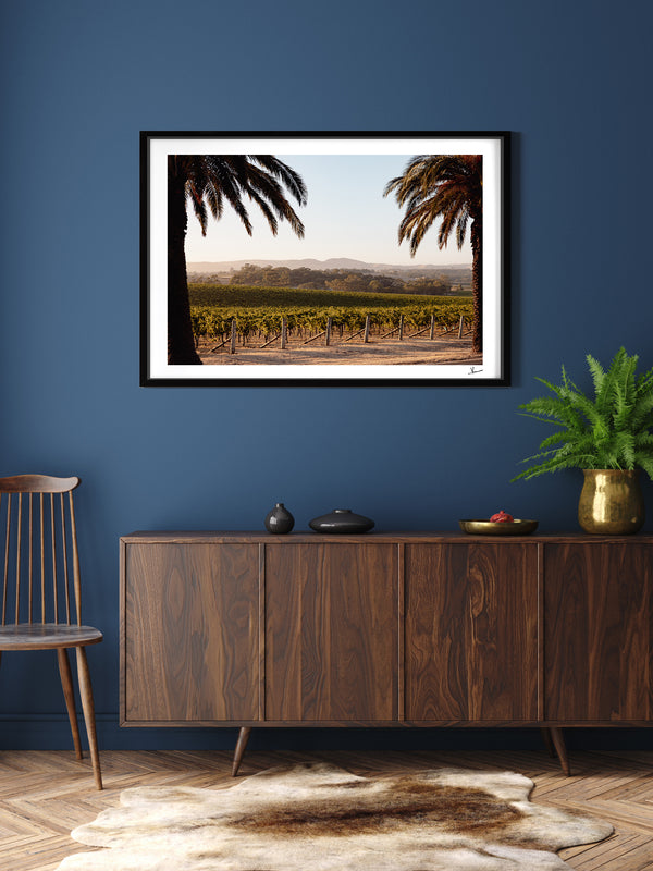 Barossa Vineyard 01 – South Australia Wall Art Print