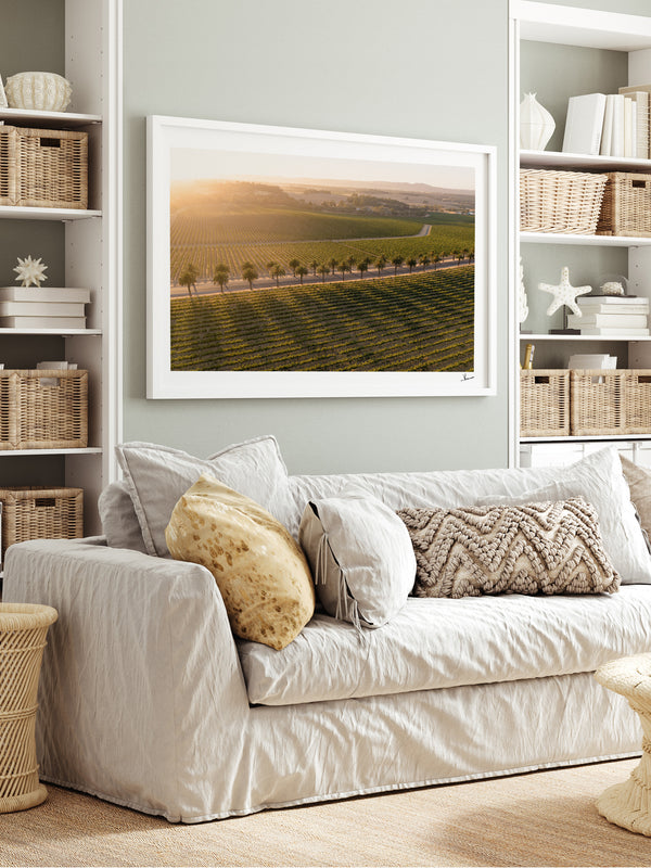 Barossa Valley Sunrise 03 – South Australia Wall Art Print