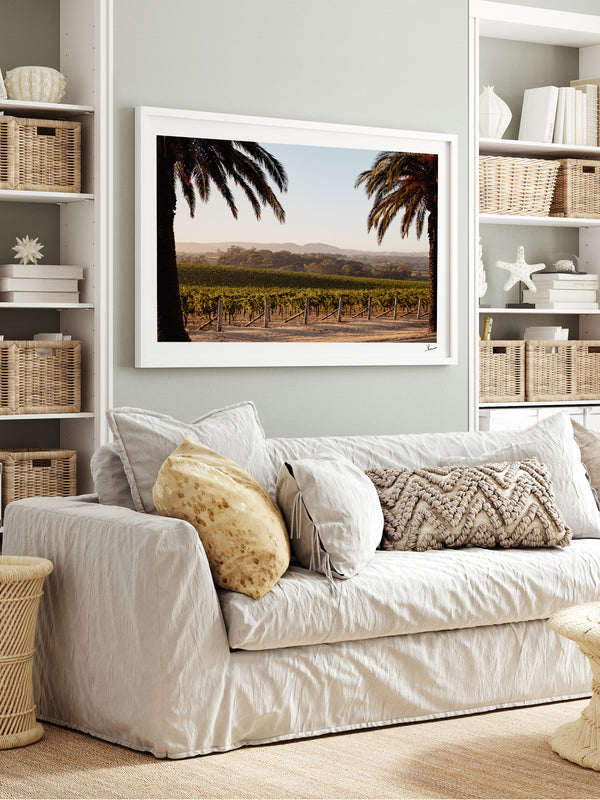 Barossa Vineyard 01 – South Australia Wall Art Print