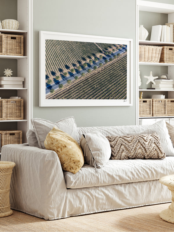 Seppeltsfield Road 03 – Barossa Valley Wall Art Print