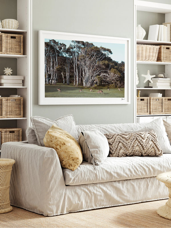Kangaroos 01 (Little Bay Beach, NSW) - Wall Art Print