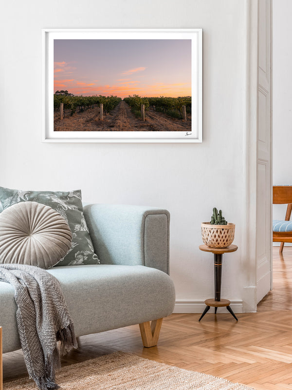 Barossa Valley First Light – South Australia Wall Art Print