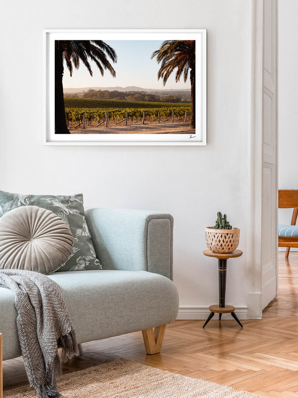 Barossa Vineyard 01 – South Australia Wall Art Print