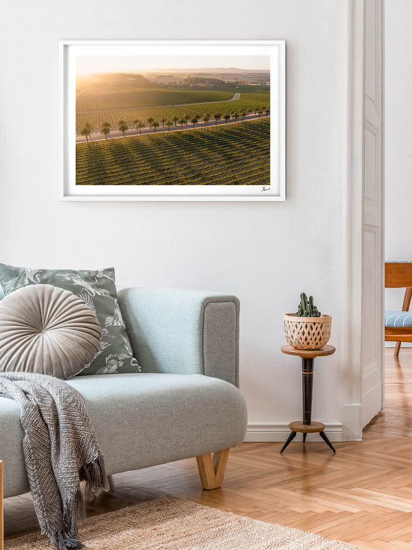 Barossa Valley Sunrise 03 – South Australia Wall Art Print
