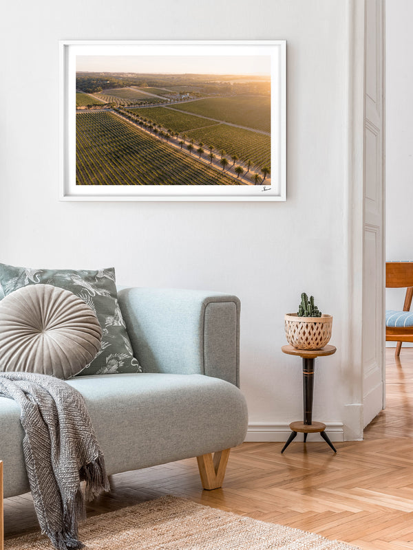 Barossa Valley Sunrise 02 – South Australia Wall Art Print