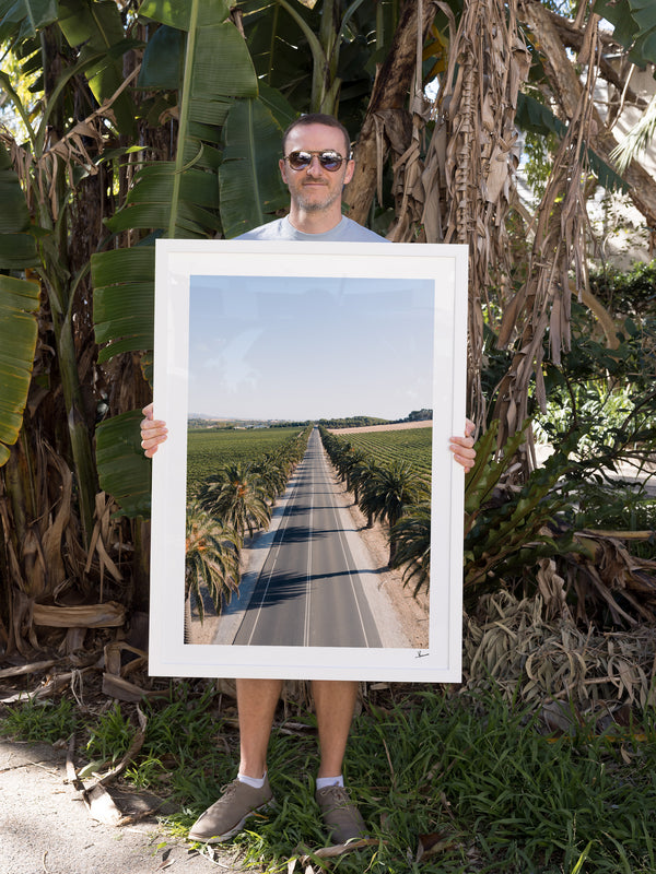 Seppeltsfield Road 02 – Barossa Valley Wall Art Print