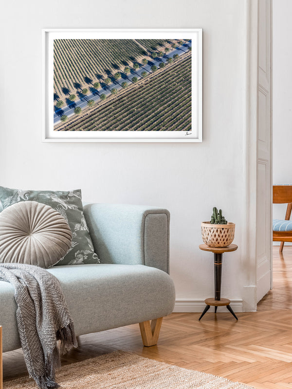 Seppeltsfield Road 03 – Barossa Valley Wall Art Print