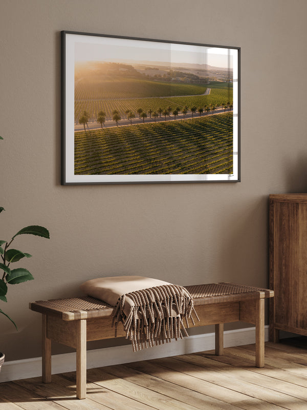 Barossa Valley Sunrise 03 – South Australia Wall Art Print