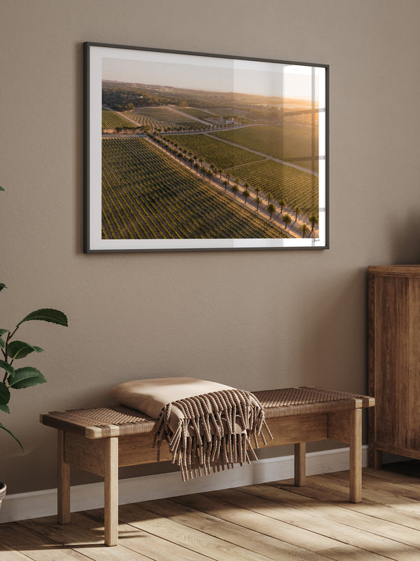 Barossa Valley Sunrise 02 – South Australia Wall Art Print