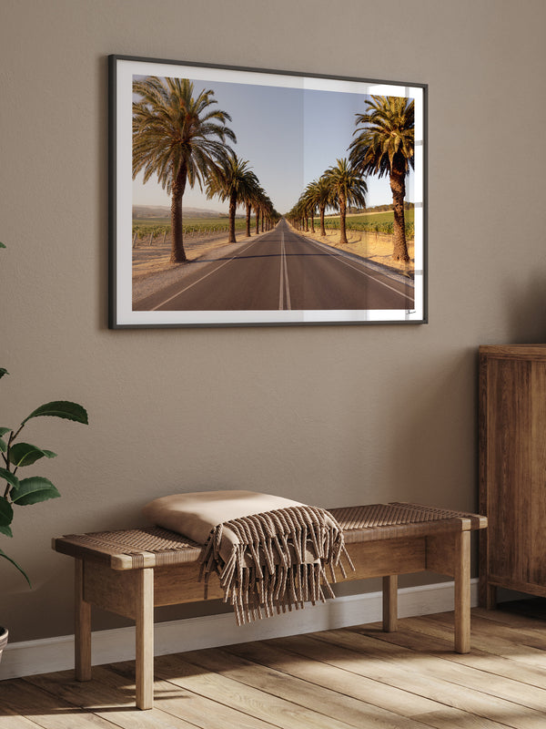 Seppeltsfield Road 01 – Barossa Valley Wall Art Print