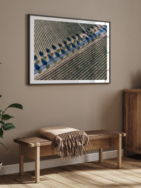 Seppeltsfield Road 03 – Barossa Valley Wall Art Print