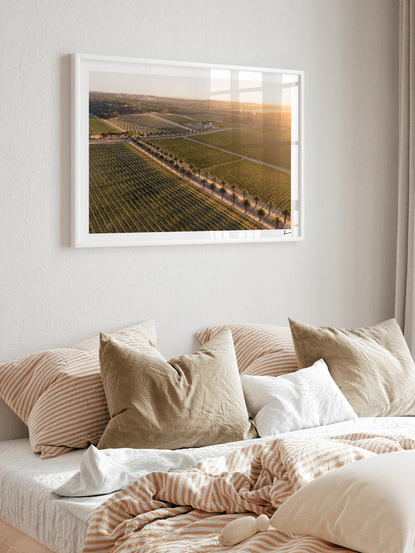 Barossa Valley Sunrise 02 – South Australia Wall Art Print