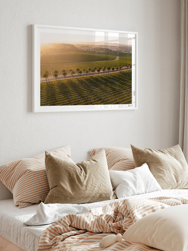 Barossa Valley Sunrise 03 – South Australia Wall Art Print