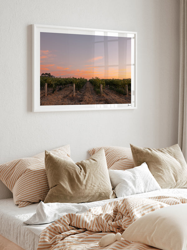 Barossa Valley First Light – South Australia Wall Art Print
