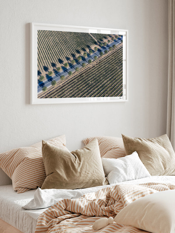 Seppeltsfield Road 03 – Barossa Valley Wall Art Print