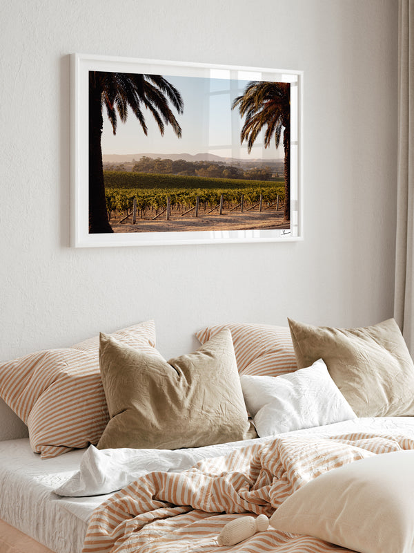 Barossa Vineyard 01 – South Australia Wall Art Print
