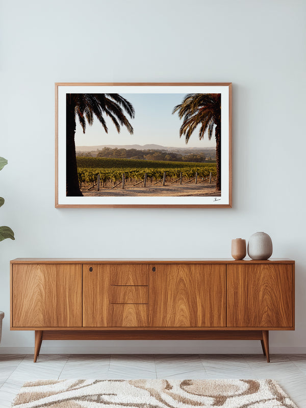 Barossa Vineyard 01 – South Australia Wall Art Print