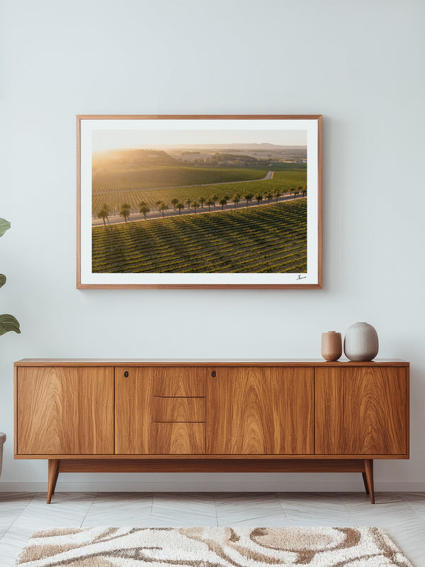 Barossa Valley Sunrise 03 – South Australia Wall Art Print
