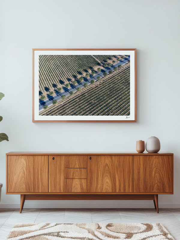 Seppeltsfield Road 03 – Barossa Valley Wall Art Print