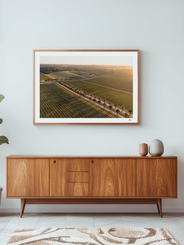Barossa Valley Sunrise 02 – South Australia Wall Art Print