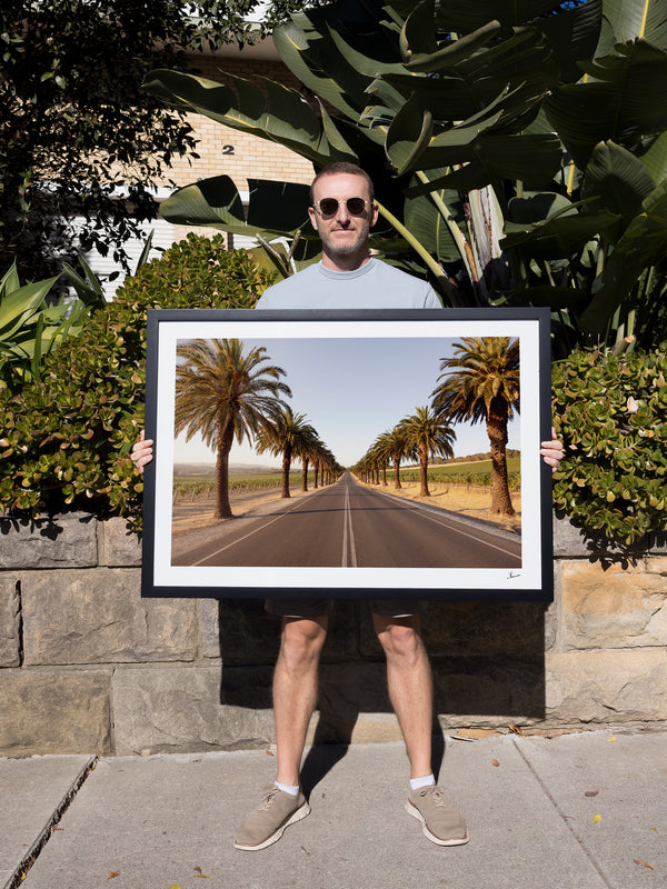 Seppeltsfield Road 01 – Barossa Valley Wall Art Print