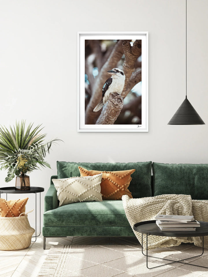 Kookaburra 02 - Wildlife Wall Art Print