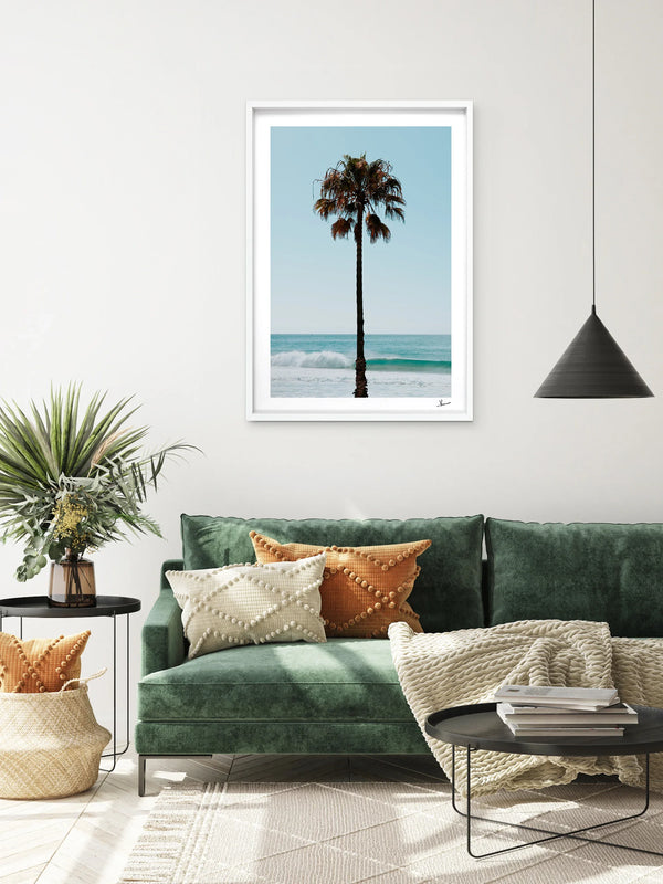 Palm Tree 01 (Whale Beach) - Wall Art Print