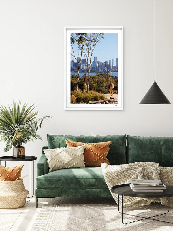 Taronga 02 - Wall Art Print