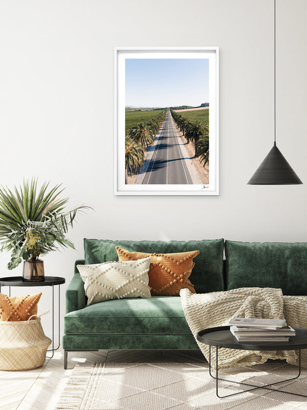 Seppeltsfield Road 02 – Barossa Valley Wall Art Print