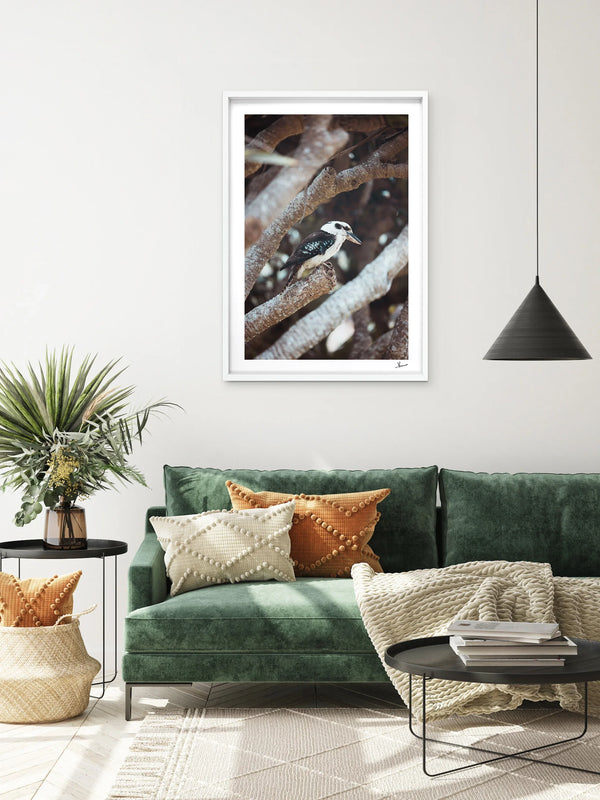 Kookaburra 01 - Wildlife Wall Art Print