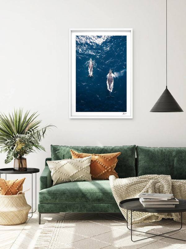 Whales 01 (Maroubra) - Wall Art Print
