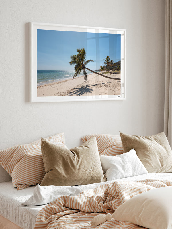 Tanga Leaning Palm - Moreton Island Wall Art Print